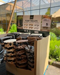 Een impressie van onze Zomersale eerdere edities