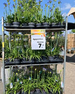 Een impressie van onze Zomersale eerdere edities