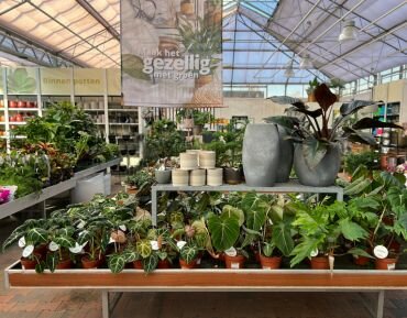 Kamerplantenafdeling GroenRijk Maasbree
